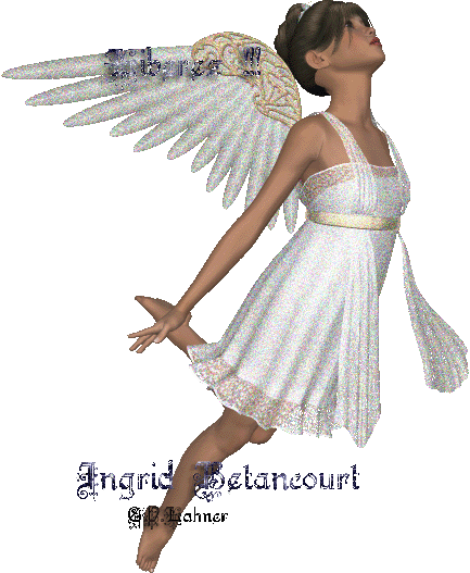 l'ange  24